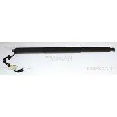 TRISCAN Kaasujousi, tavaratila 8710 11370