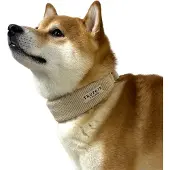 Trufois Leveä kaulapanta , latte beige