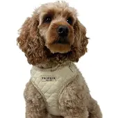 Trufois Lite -valjaat, Latte Beige