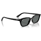 Ray-Ban Zaya - RB4456 667781 5319