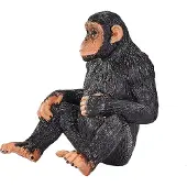 MOJO Wildlife Chimpanzee