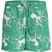 Jack & Jones Fiji Aop Uimashortsit