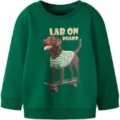 Name it Collegepaita 'NMMVOTO' kitti / tummanruskea / tummanvihreä / offwhite