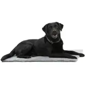 Kruuse Vet Bed, harmaa, 150 x 75 cm