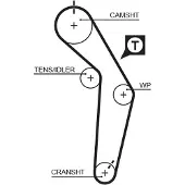 Gates Jakohihna - Audi - A6, 100, 80, Coupe, S2, 90, 200, Quattro