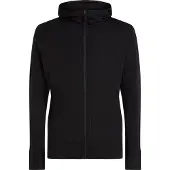 Icebreaker m merino 260 quantum ls zip hoodie