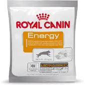 Royal Canin 4x50g Energy makupala koiralle