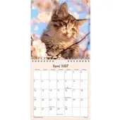 Mayland Vægkalender mini Kattekillinger 2027