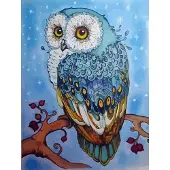 Figure'd Art Figured Art Ristipistotyö Beautiful Owl