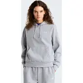 The North Face Collegepaita 'EVOLUTION SIMPLE DOME' meleerattu harmaa