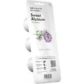 Click and Grow Smart Garden Sweet Alyssum aloituspakkaus 3 kappaletta