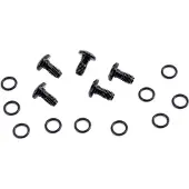 Campagnolo Scheibenbremsschrauben 5 Einheiten