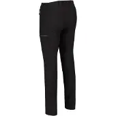 Regatta Highton Shortsit