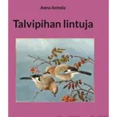 Anhola, Talvipihan lintuja