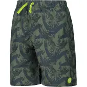 CMP 34r9084 Uimapuku Boxer