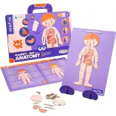MierEdu Anatomian Magneettinen Laukku