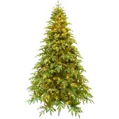 Sälen joulukuusi 210 cm, 500 LED-valoa