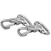 Taylor Snap Carabiner Hopeinen 19 mm
