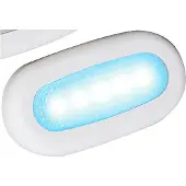 Scandvik 5 Led-kohteliaisuusvalo 7.30x3.81 Cm 12v