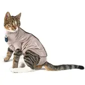 Kruuse BUSTER Body Suit Step'n Go for Cats - XXXS - 27.5cm - Viscose/Elastane