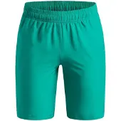 Under Armour Tech Woven Wordmark Shortsit