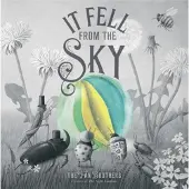 Quarto Publishing Plc It Fell From The Sky