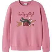 Name it Nkfvertrud Ls Nreg Sweat Bru - Pink - 122-128