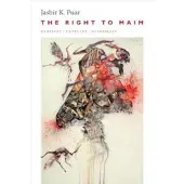 Book Right to Maim: Debility, Capacity, Disability