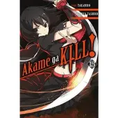 Little, Brown and Company Akame ga Kill!, Vol. 13