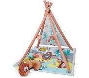 Skip Hop - Camping Cubs Baby Gym - 0 - 12 months - Multi