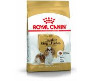 Royal Canin Cavalier King Charles Adult -koiranruoka, 1,5 kg