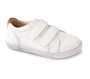 Pax Carl Tennarit, White 28