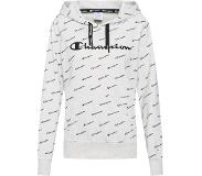 Champion Hooded Sweatshirt 276