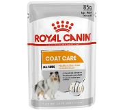 Royal Canin Coat Care Wet Loaf -märkäruoka, 12 x 85 g
