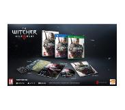 Namco Bandai Games The Witcher 3: Wild Hunt Premium Edition PC