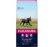 Eukanuba Growing Large Breed Puppy 15 Kg Dog Food Kirkas