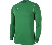 Nike Miesten pusero Nike Park 20 Crew Top M BV6875 302, vihreä