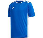 Adidas Miesten T-paita Adidas, sininen