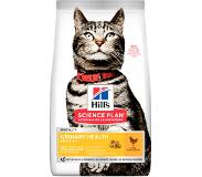 Hill's Pet Nutrition Hill's SP Urinary Health Adult Cat, kana 3 kg