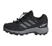 Adidas Terrex GORE-TEX Hiking Shoes