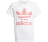 Adidas Adicolor Trefoil Short Sleeve T-shirt Valkoinen 14-15 Years Poika