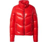 Superdry Brooklyn Padded Jacket Punainen XS Nainen