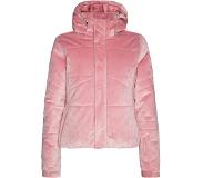 Protest Diva Jacket Pinkki L Nainen