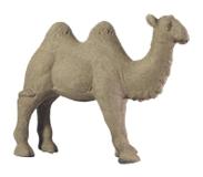 Day Home Day Camel koriste