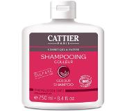 Cattier Colour - Värjätyt hiukset 250 ml shampoo