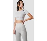 ICANIWILL Define Seamless Cropped T-shirt Light Grey Wmn