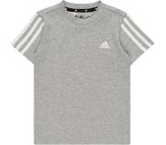 Adidas 3 Stripes Tee, nuorten t-paita