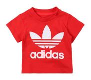 Adidas Trefoil Short Sleeve T-shirt Punainen 9-12 Months Poika