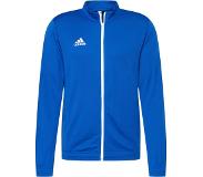 Adidas ENT22 Training Jacket, miesten treenitakki