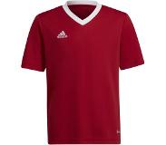 Adidas Entrada 22 Short Sleeve T-shirt Punainen 9-10 Years